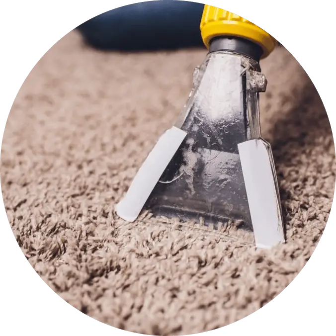 End of Lease Carpet Cleaning